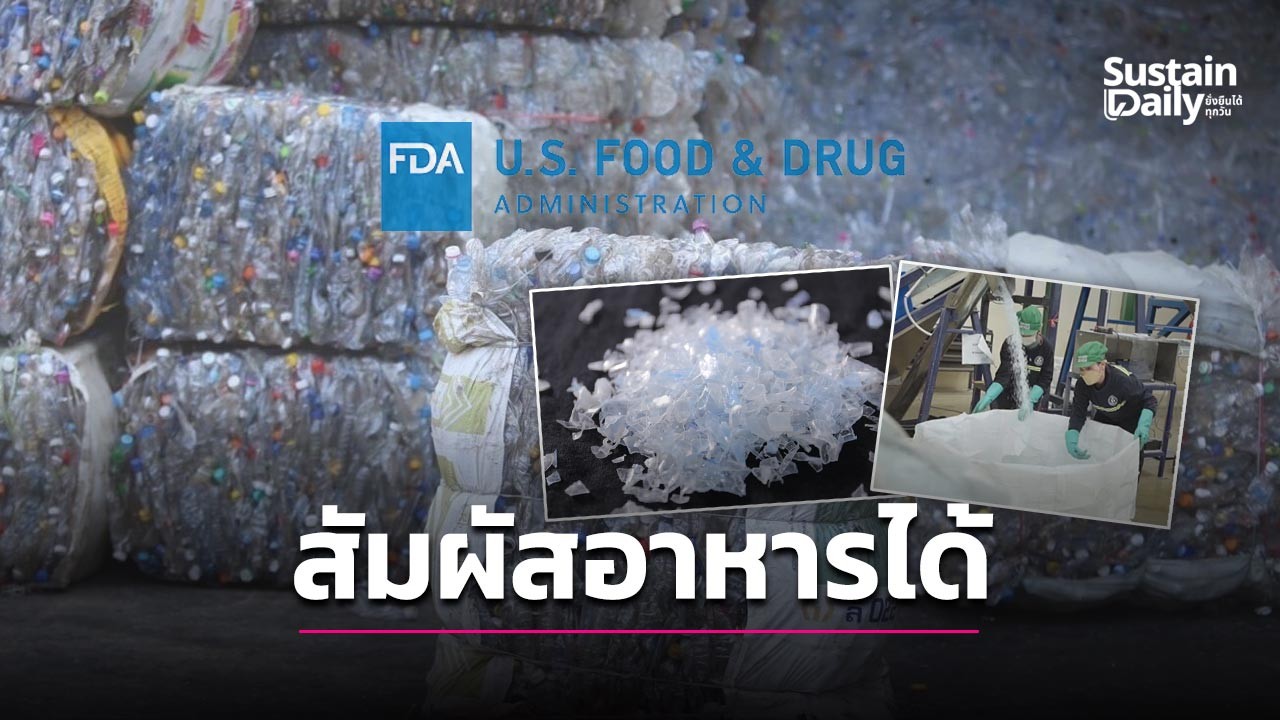 ไทยพลาสติก รีไซเคิล ได้รับ No Objection Letter (NOL) จาก US FDA สำหรับเกล็ดพลาสติก rPET
